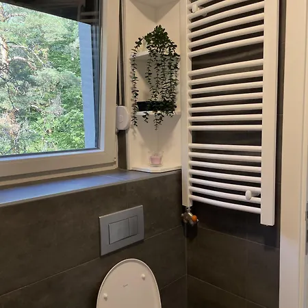 Apartament Divcimonte *